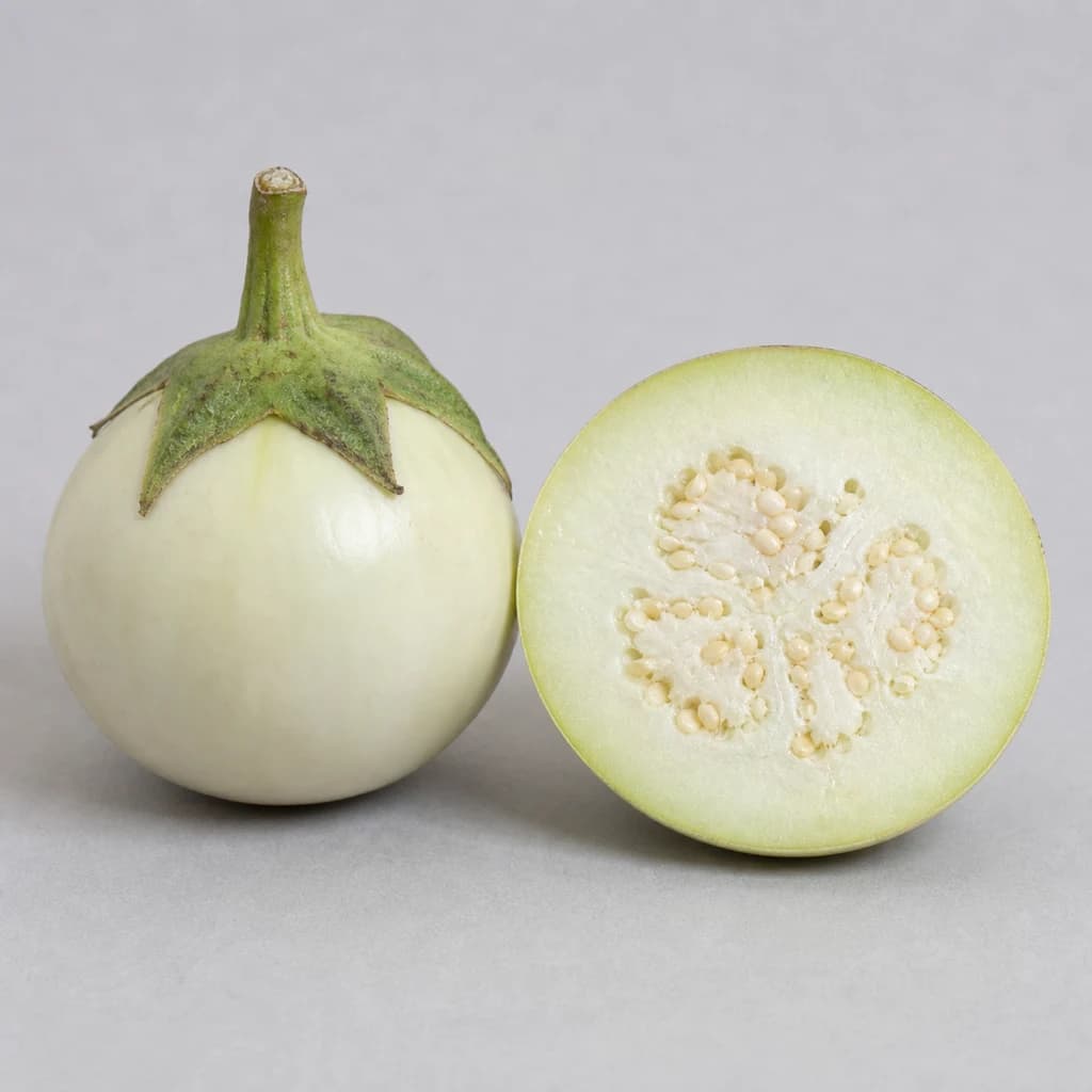 Cross-section
