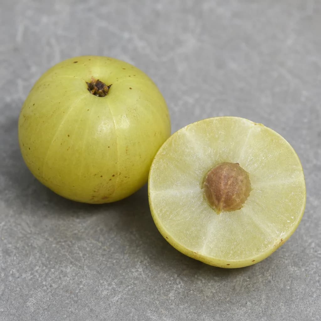 Cross-section