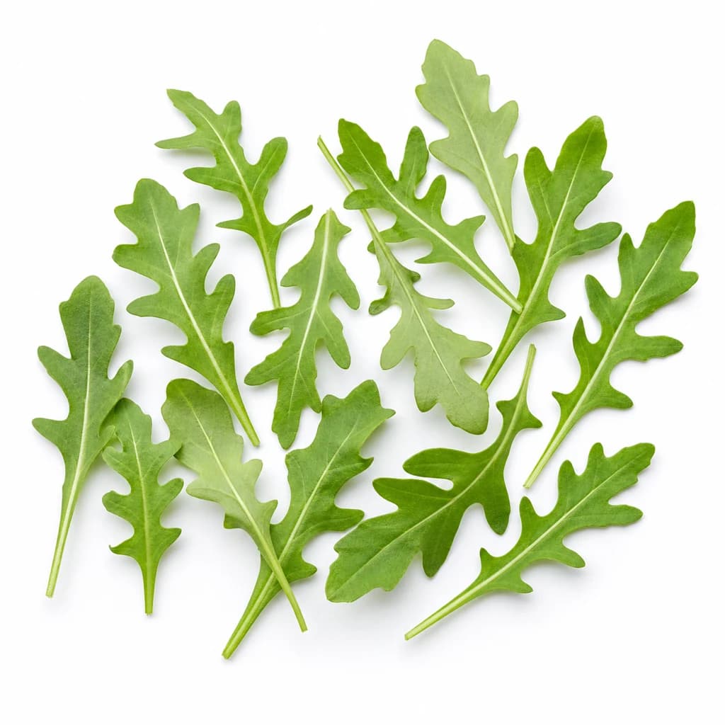 Arugula