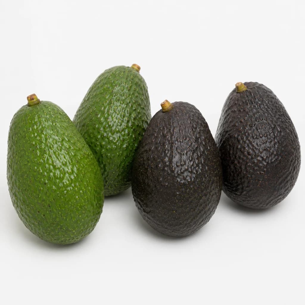 Avocado — Natural form