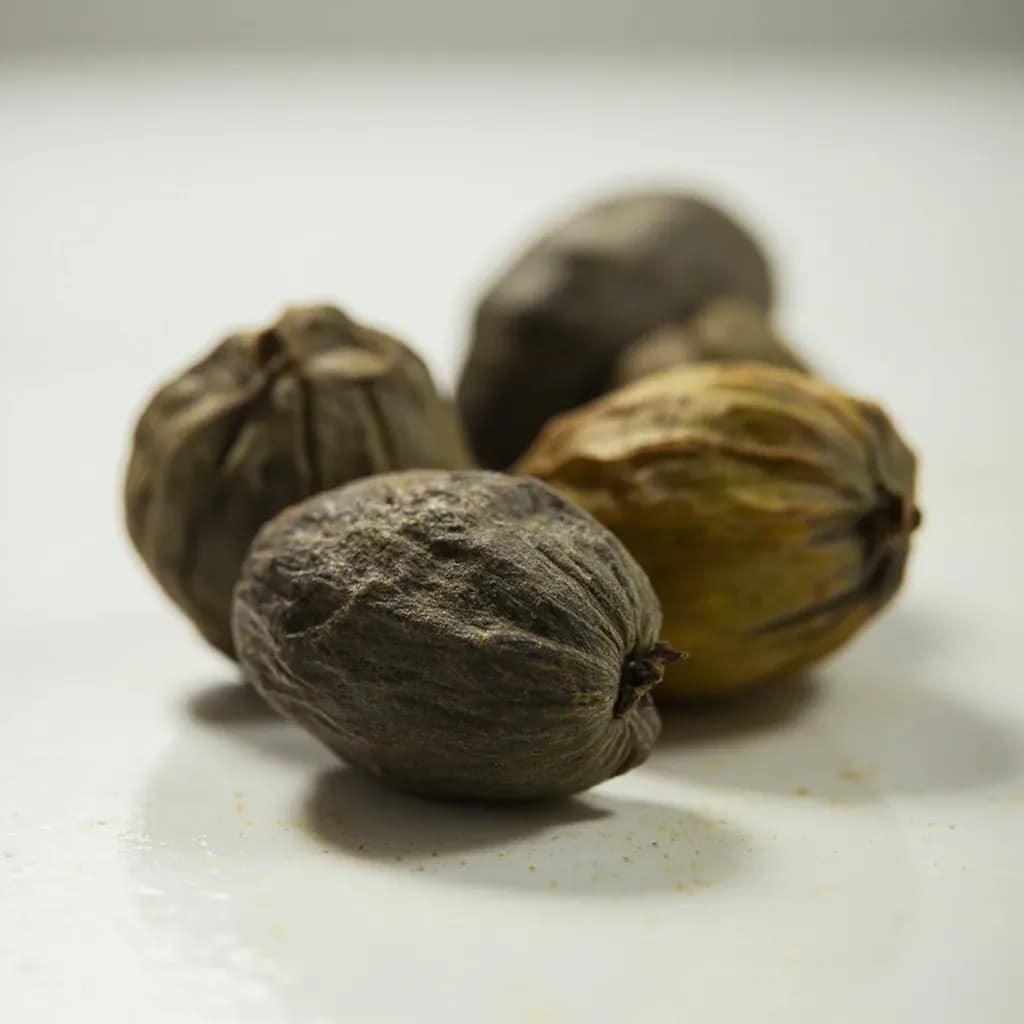 Dried Black Lime (Loomi)