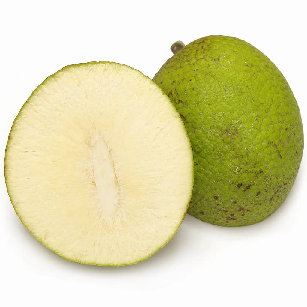 Cross-section