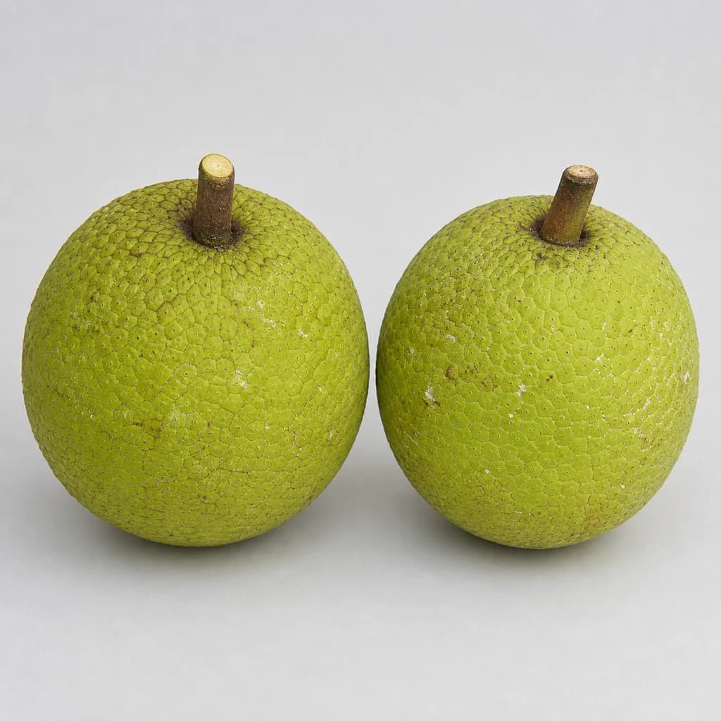 Breadfruit