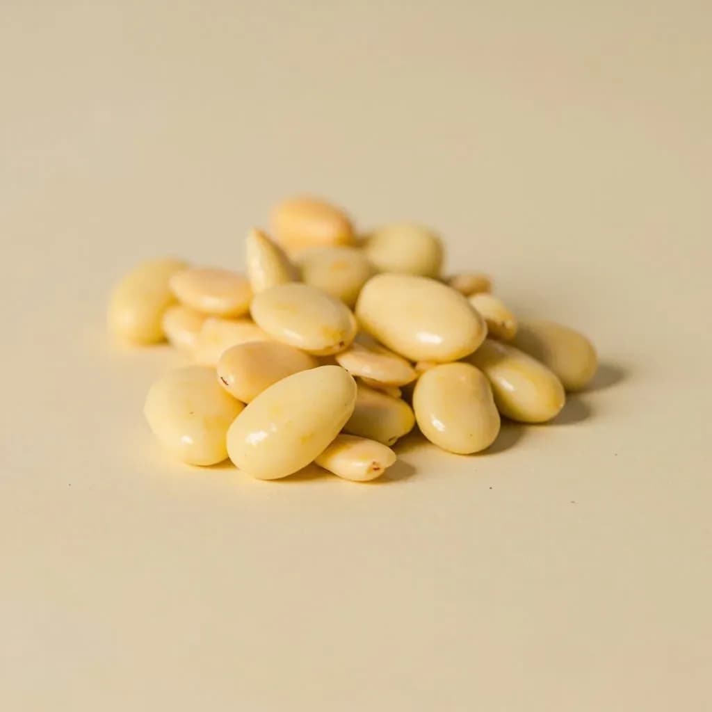 Canary Bean