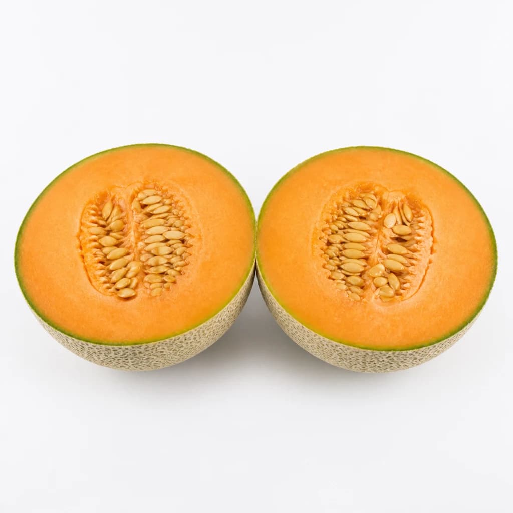 Cross-section