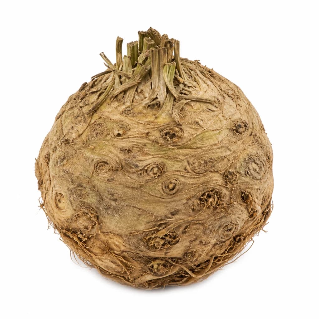 Celeriac — Natural form