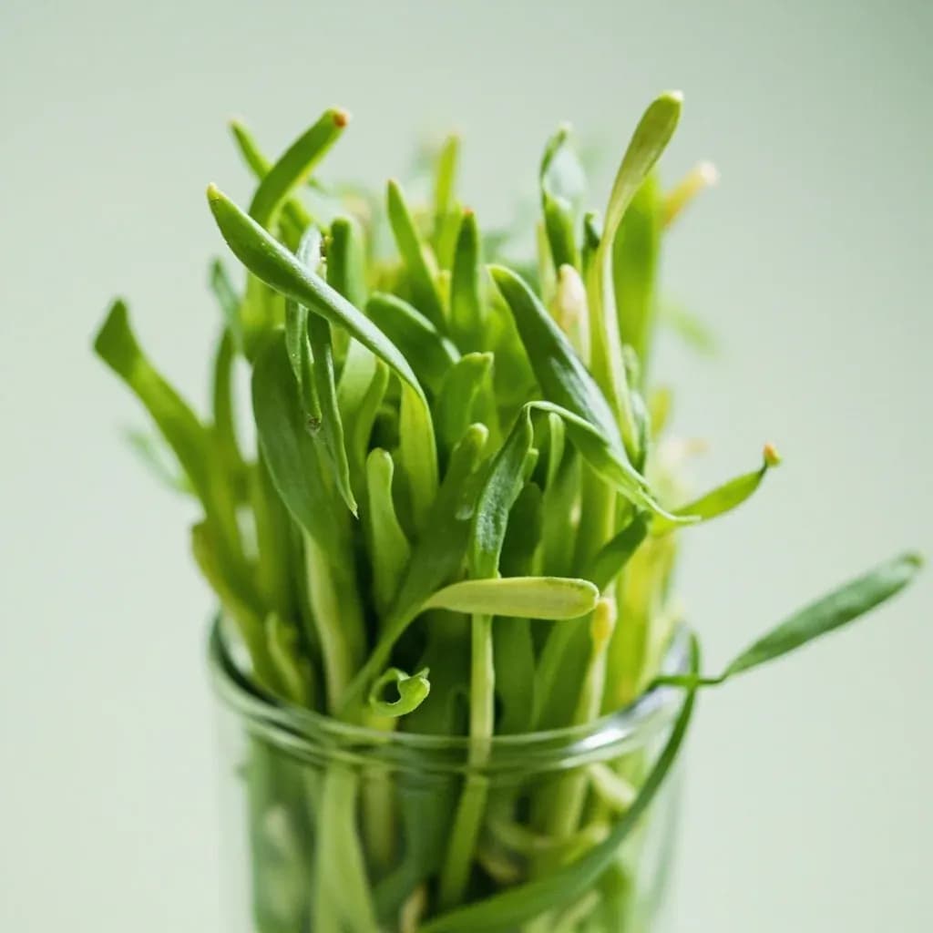 Dandelion Greens