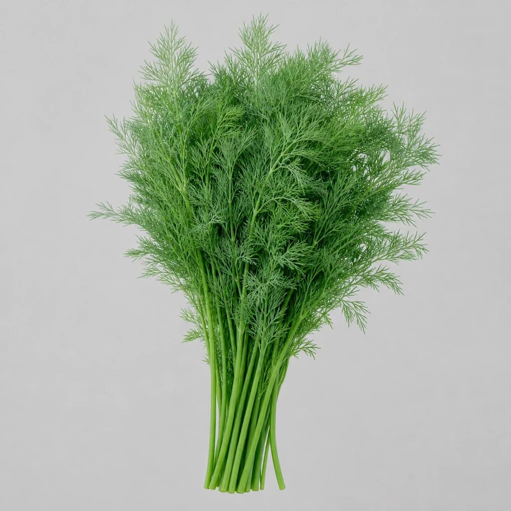 Dill — Natural form