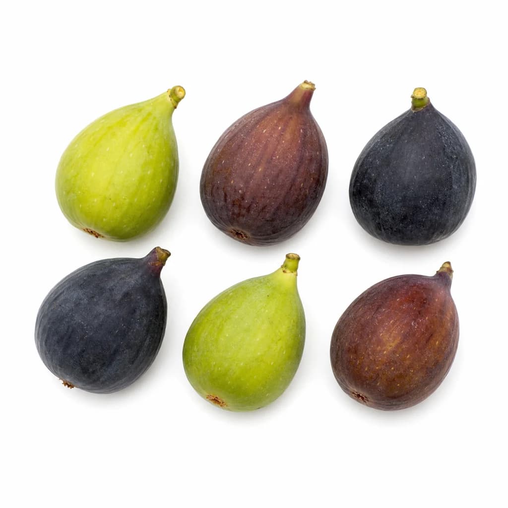 Fig