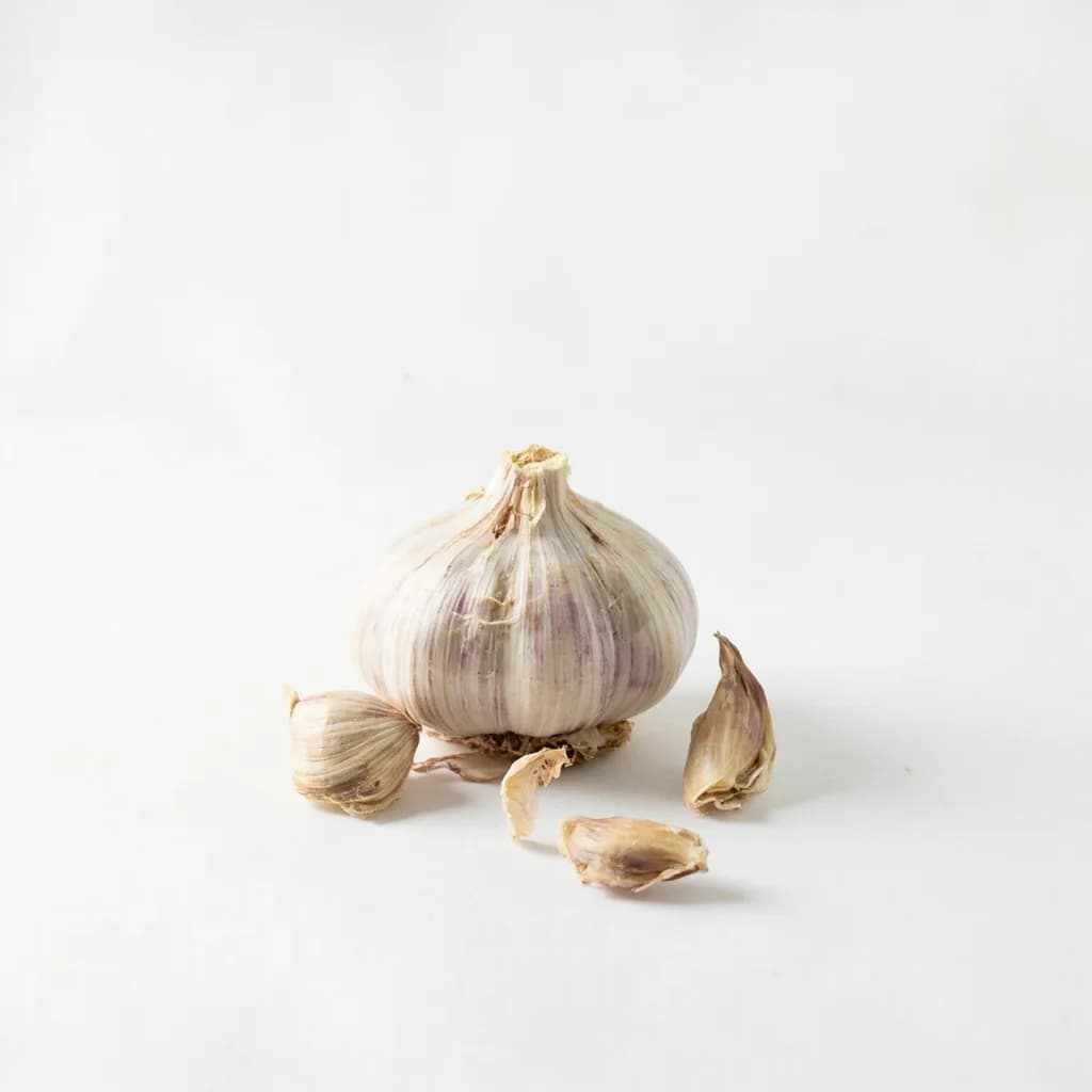 Garlic