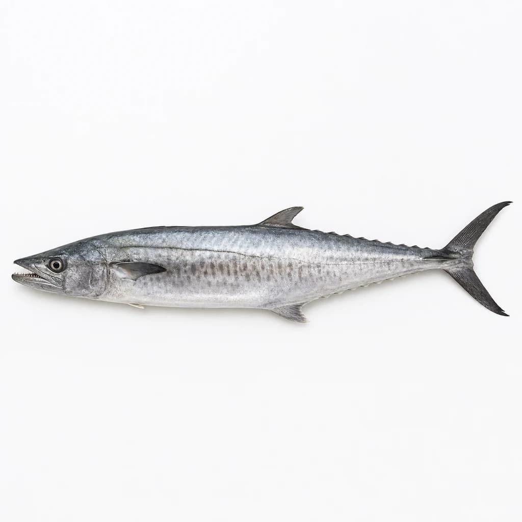 Kingfish — Natural form