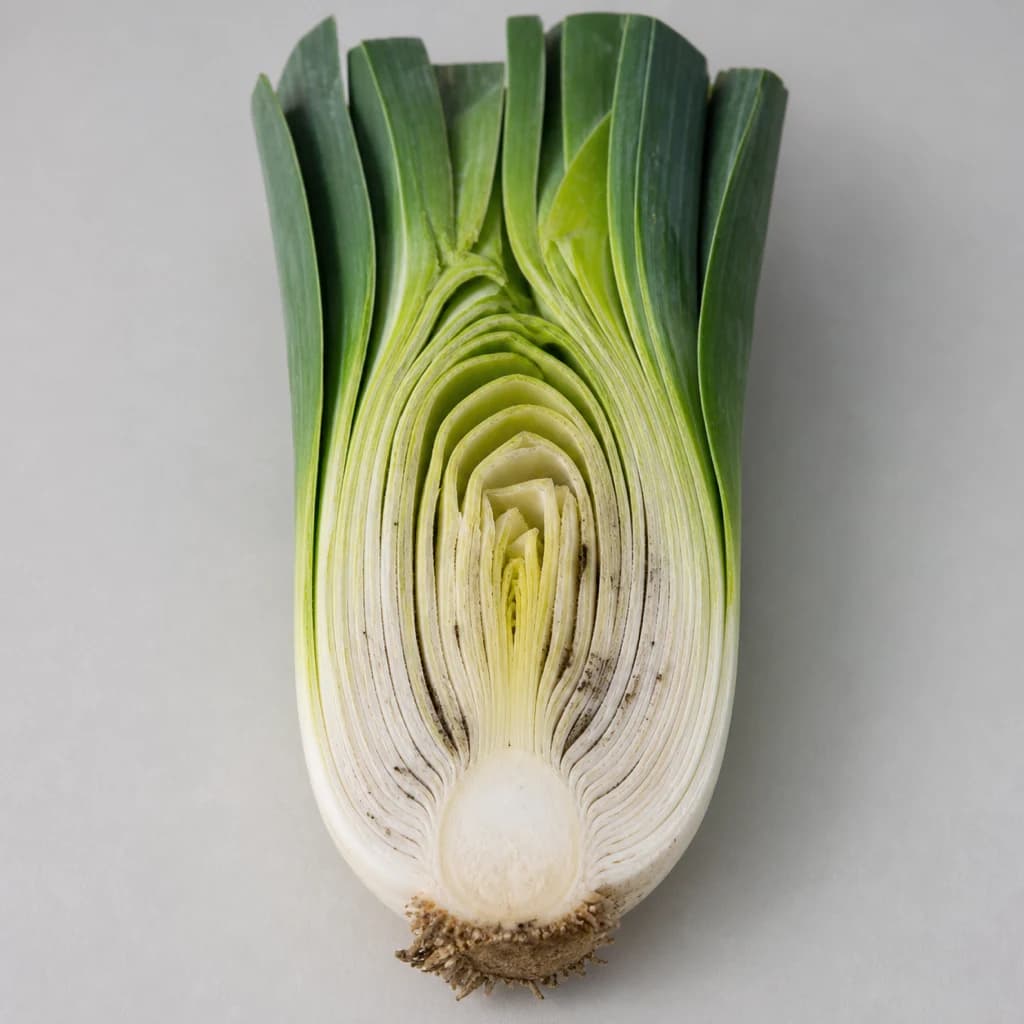 Cross-section
