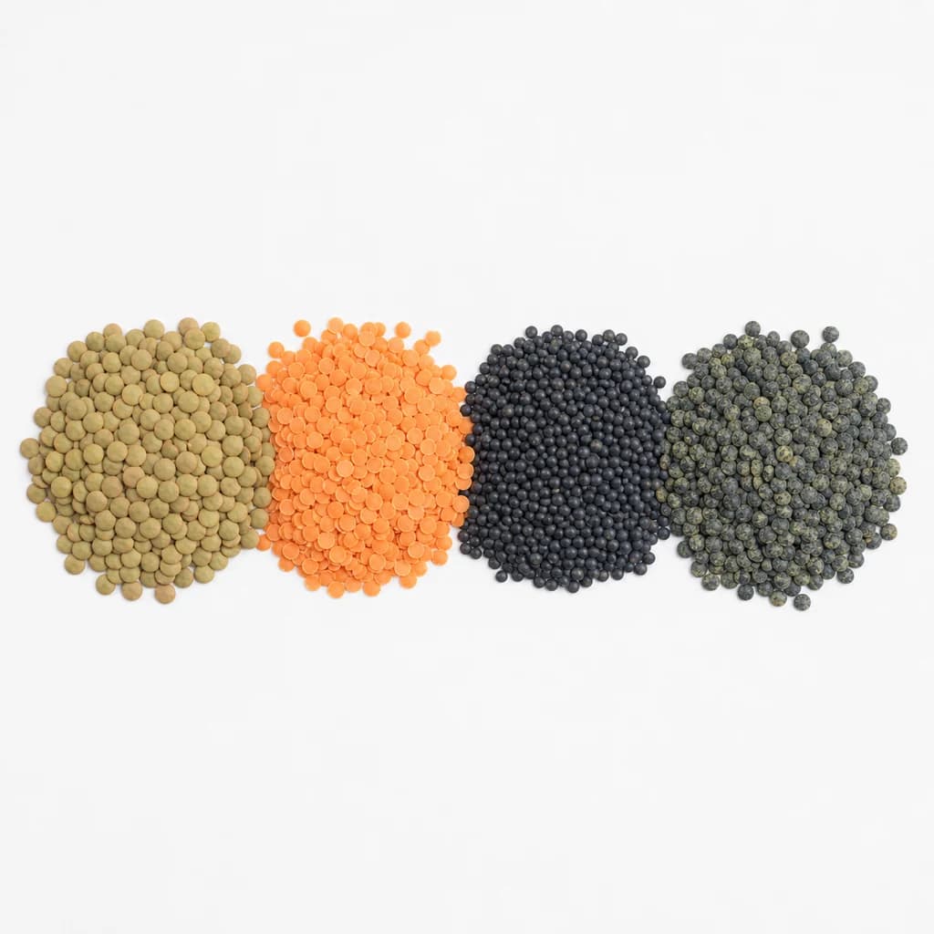 Lentils