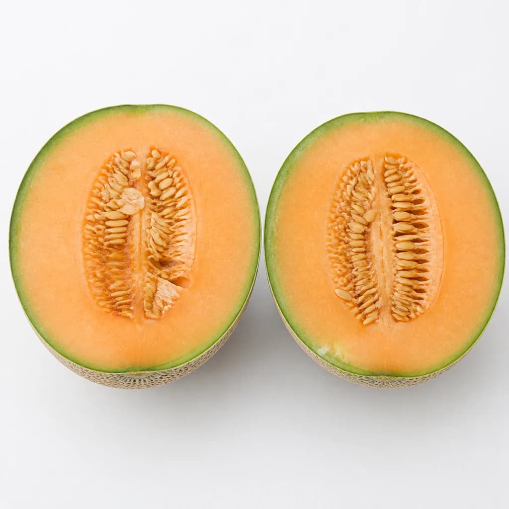 Cross-section