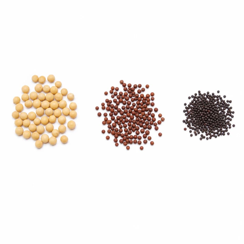 Mustard Seed