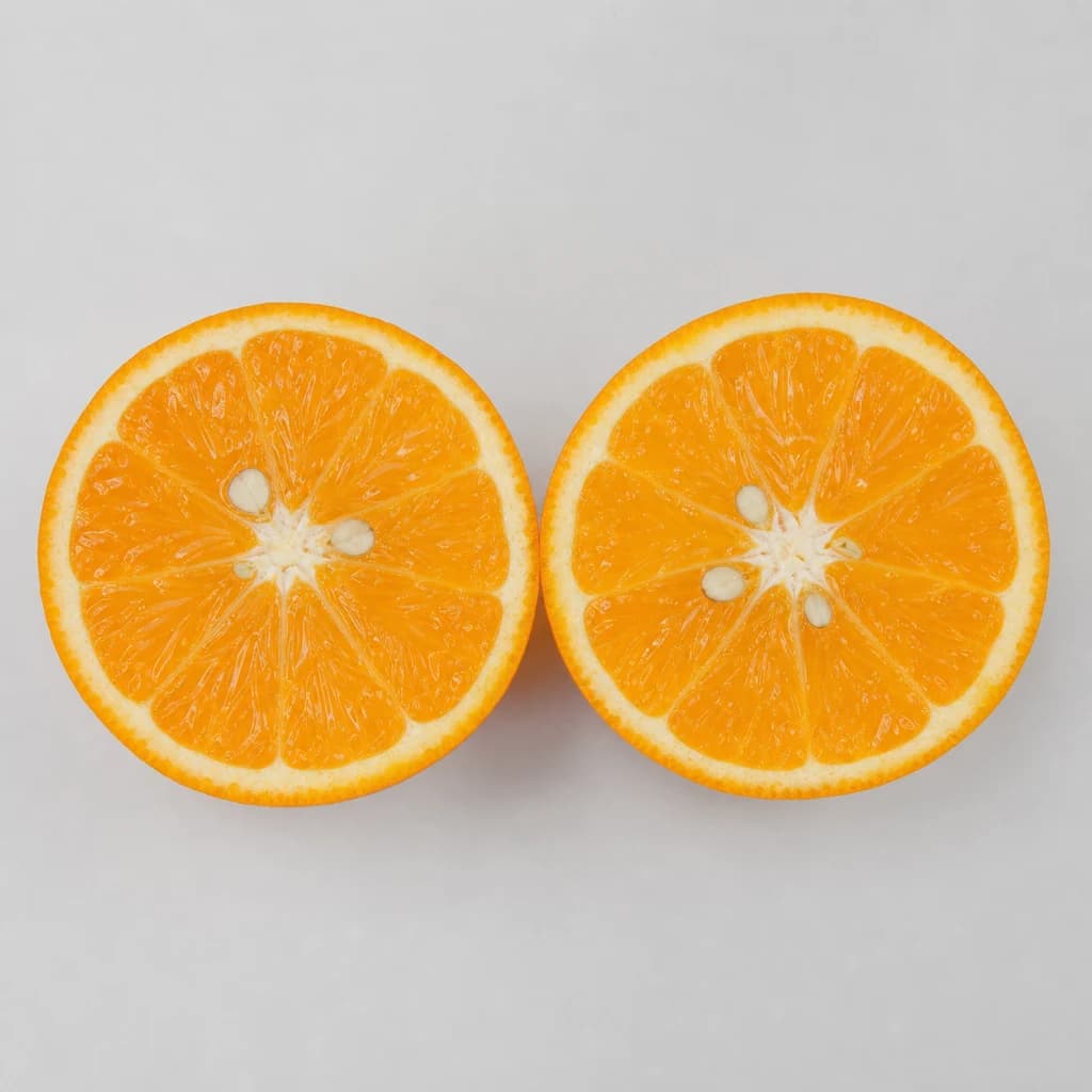 Cross-section