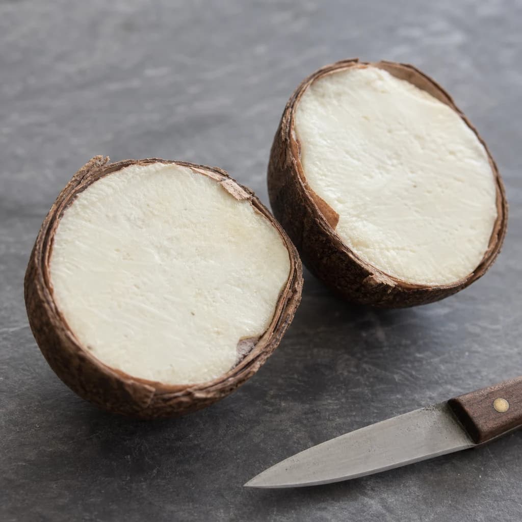 Cross-section