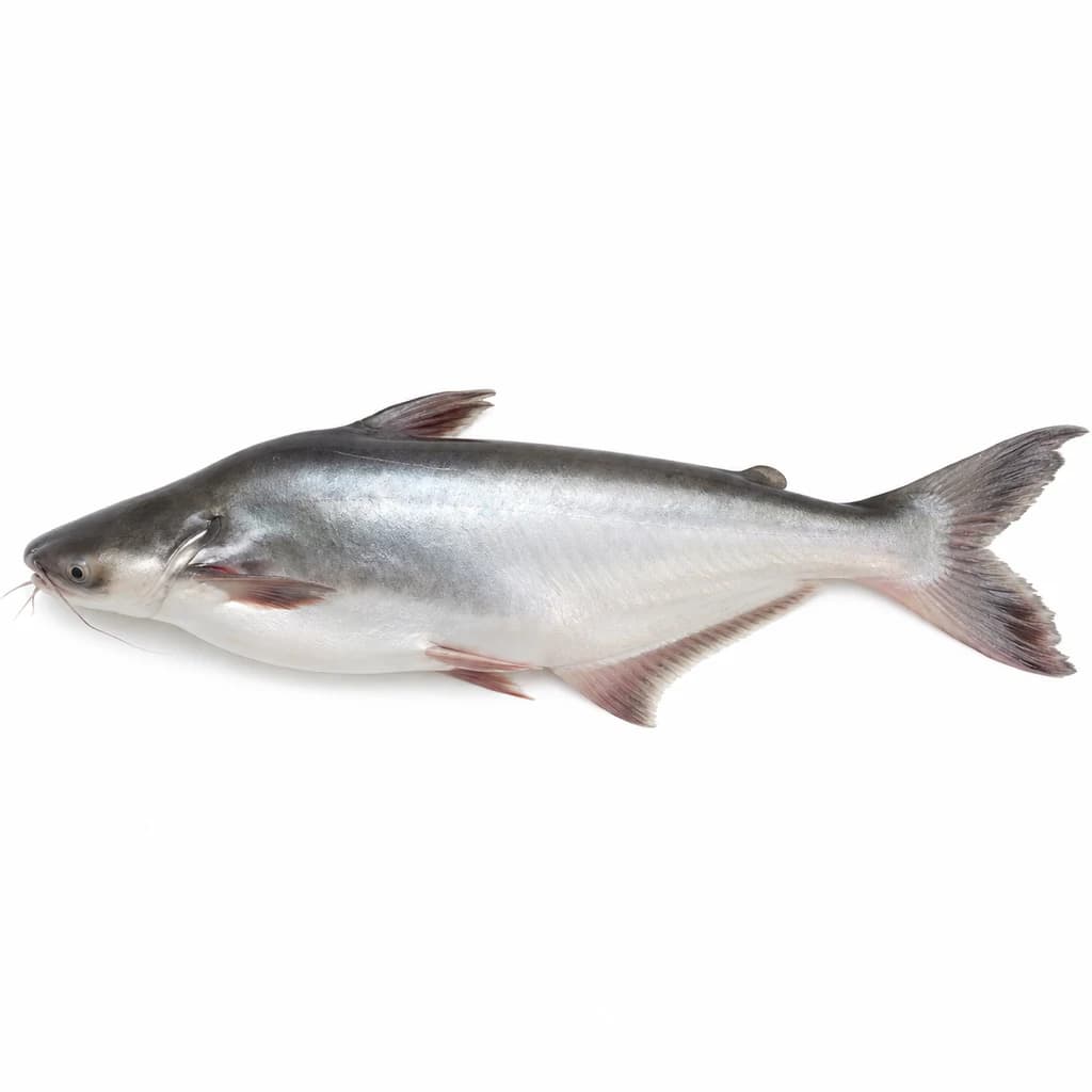 Pangasius (Pangash) — Natural form