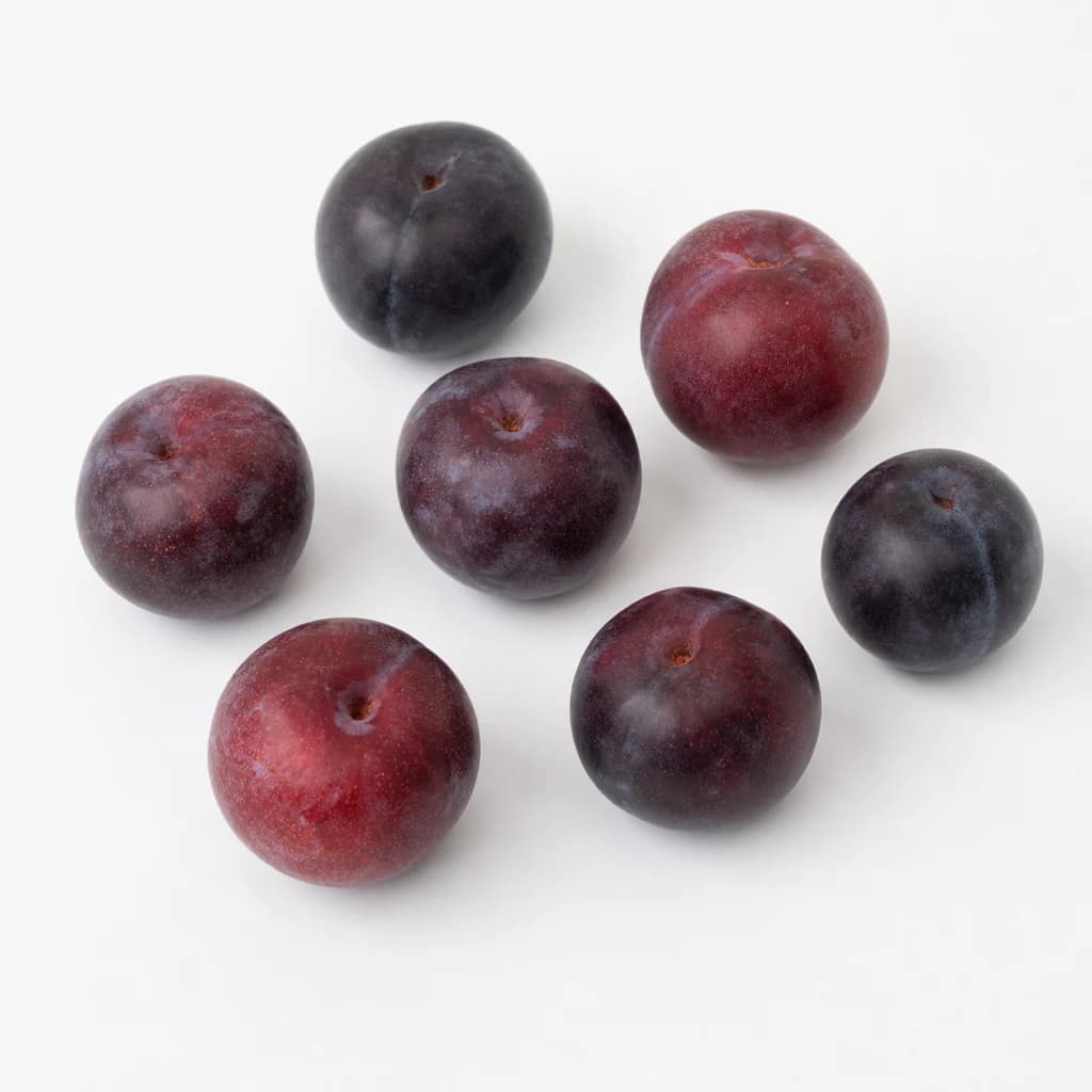 Plum