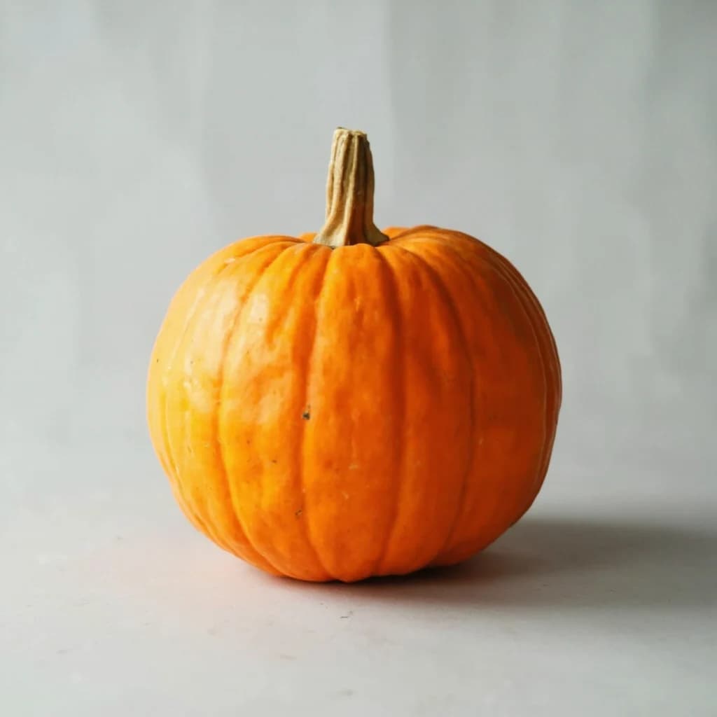 Pumpkin