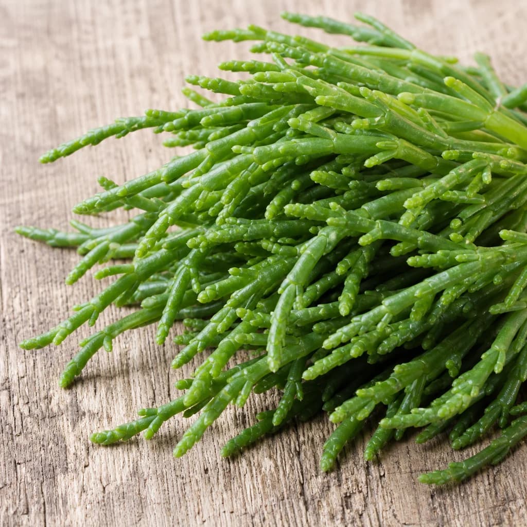 Samphire
