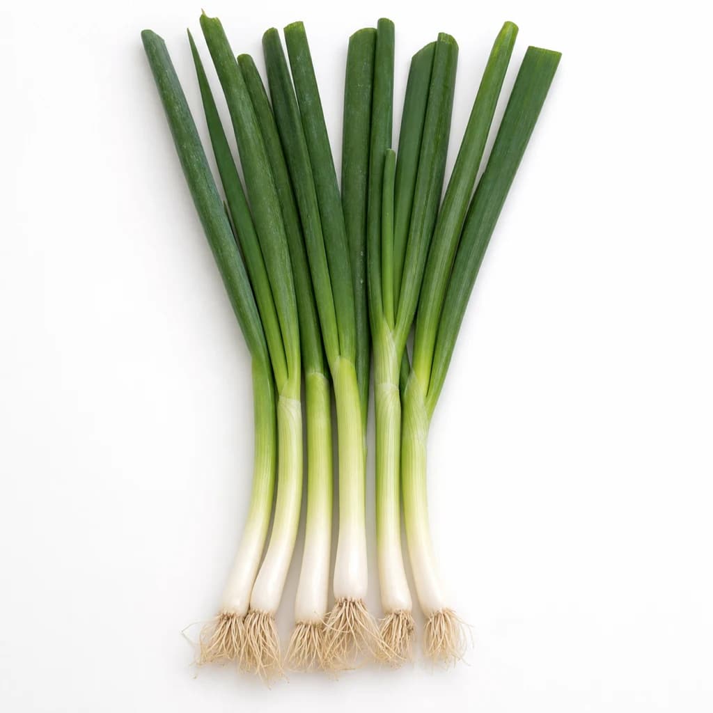 Scallion — Natural form