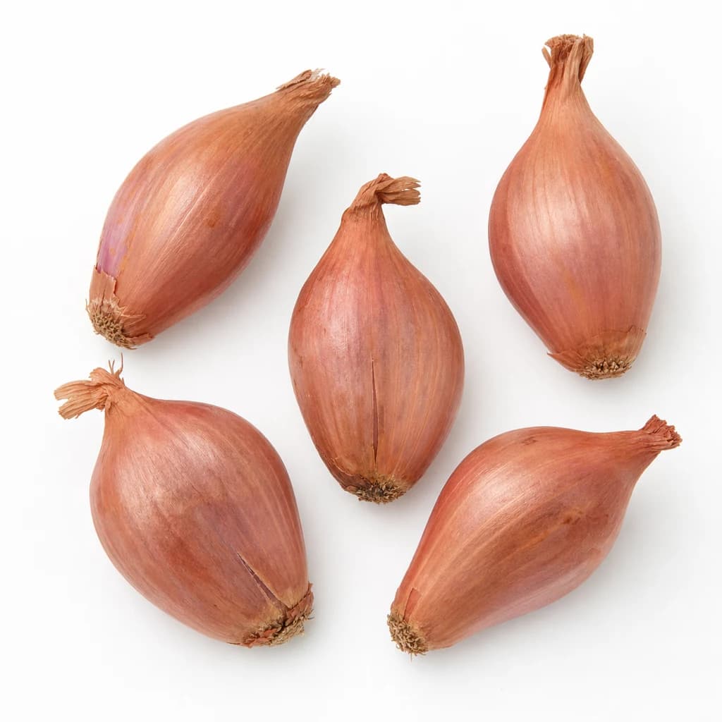 Shallot — Natural form