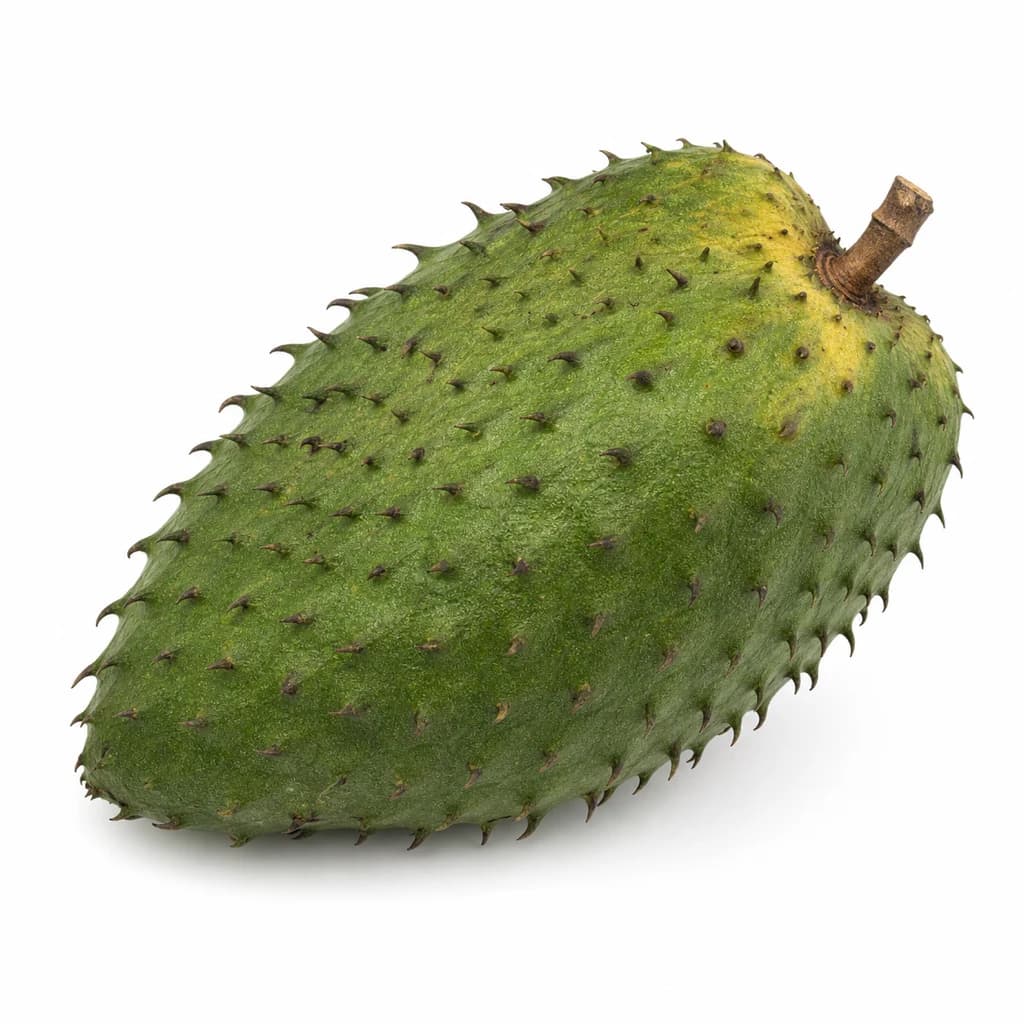 Soursop — Natural form