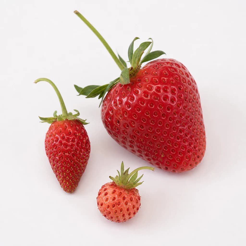Varieties