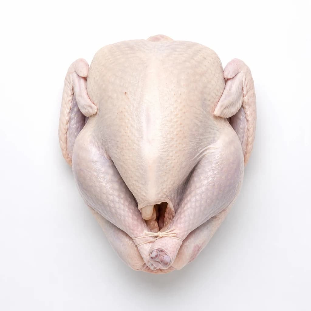 Turkey — Natural form