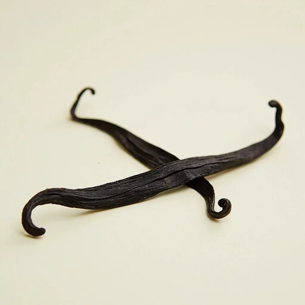 Vanilla Bean