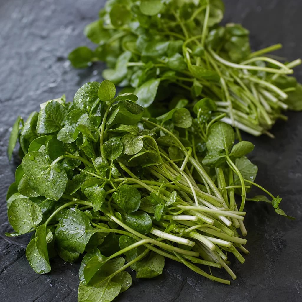 Watercress — Natural form