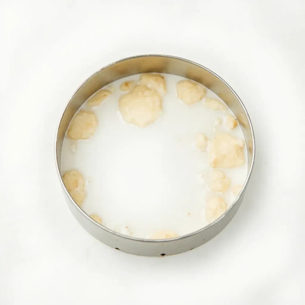 Canning Band / Ring