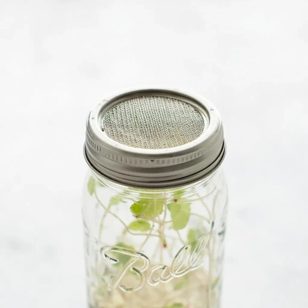 Sprouting Jar Lid