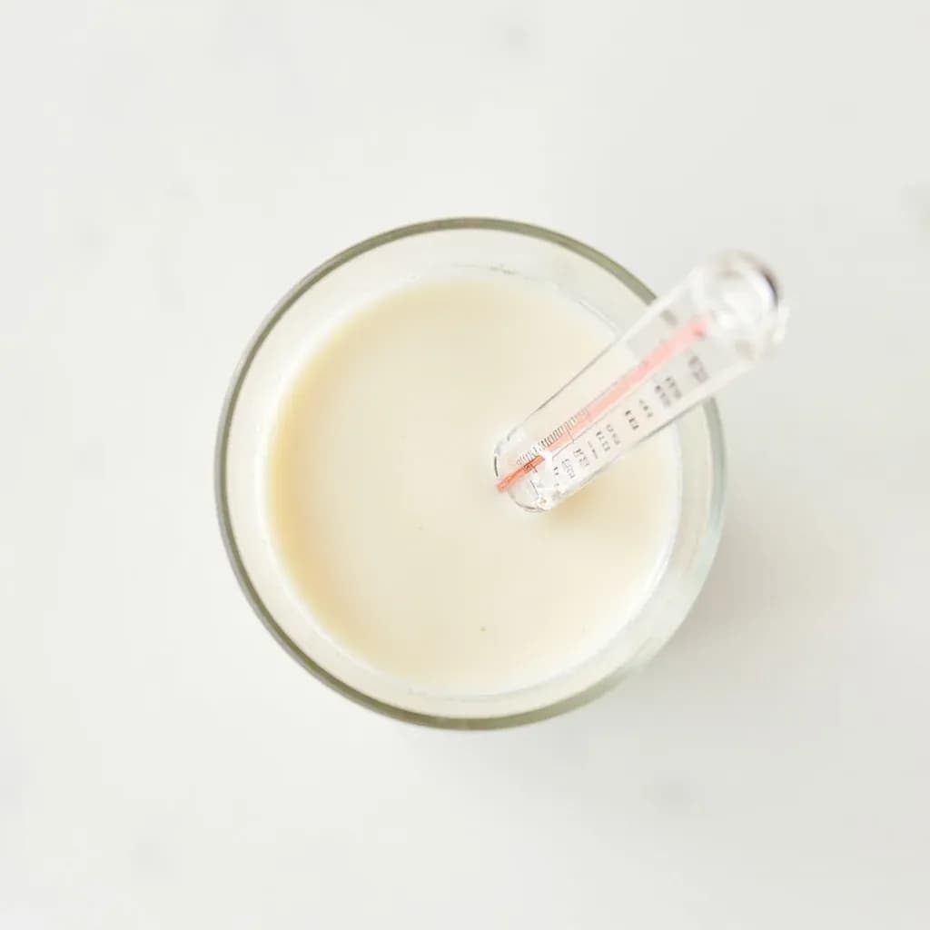 Dairy Thermometer