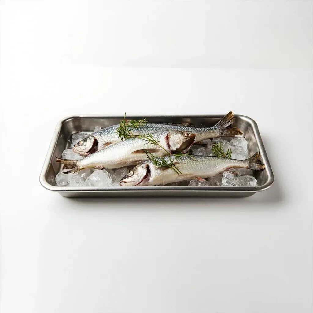 Stainless Fish Display Tray