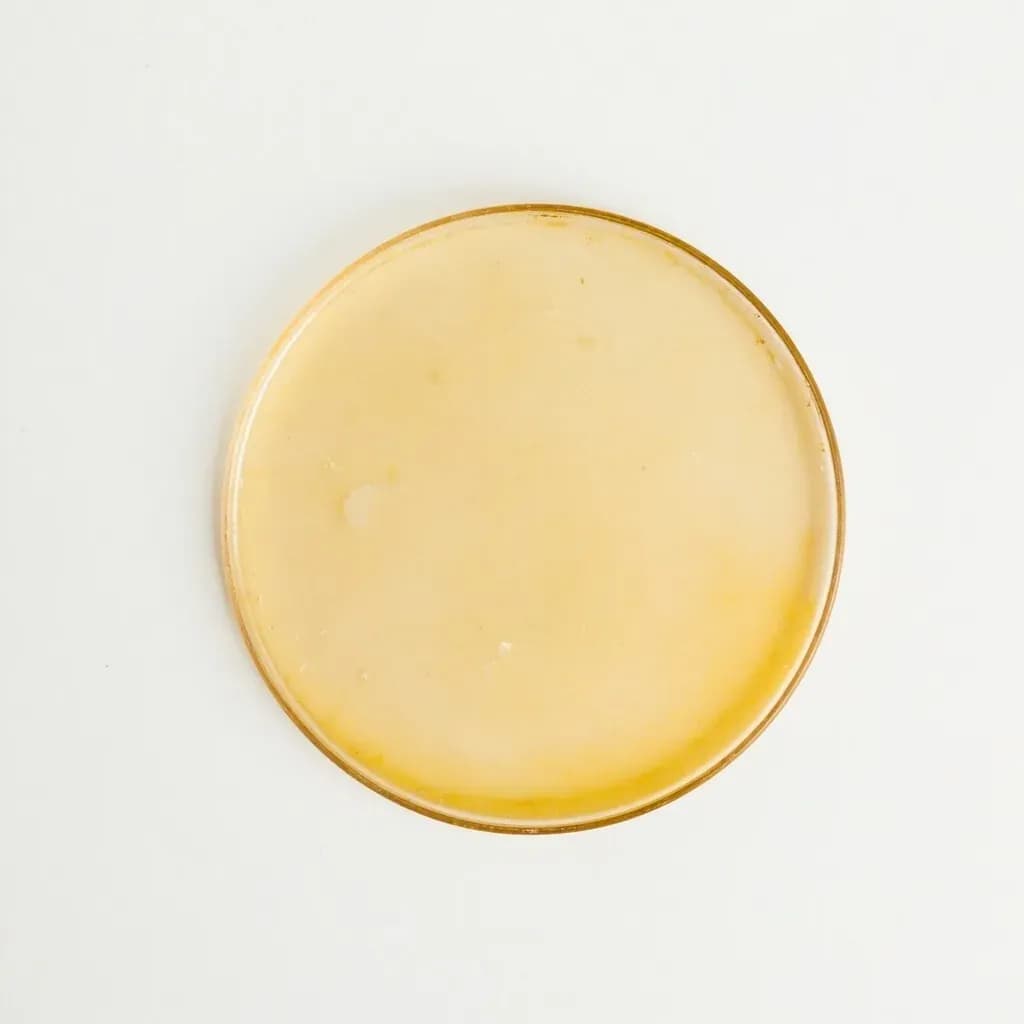 Glass Fermentation Weight