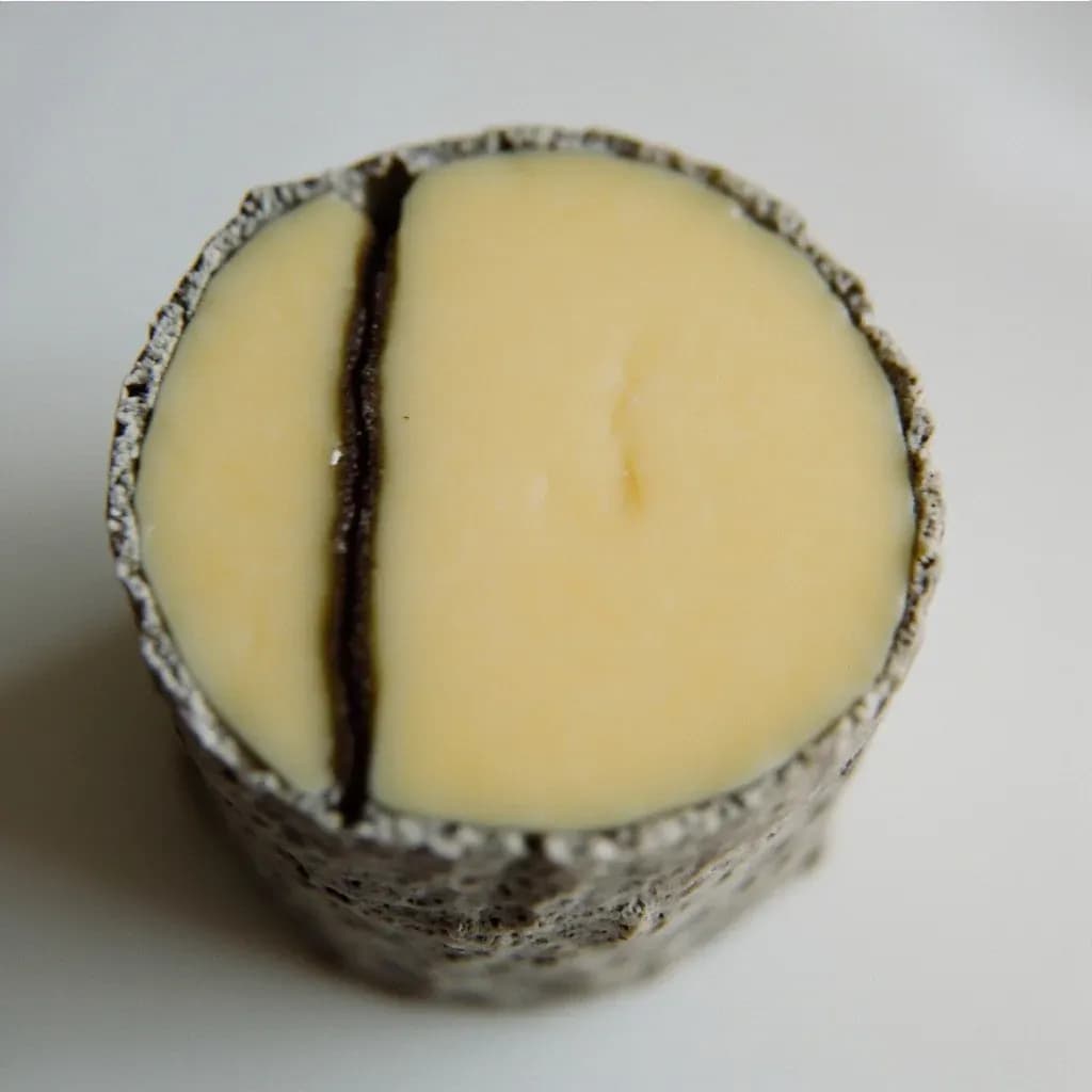 Ash Coating