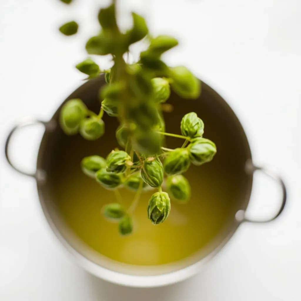 Bittering Hop Addition