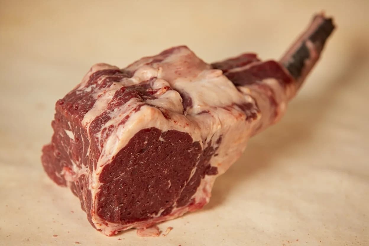 Where the beef shank & osso buco cross-cut lives on the source. The foreshank sits below the brisket and chuck.