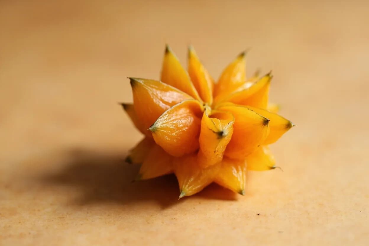 Agbalumo (African Star Apple) in its natural form. Agbalumo (Chrysophyllum albidum) is a seasonal wild fruit native to West and Central Africa, harvested between December and April — a fact that makes it synonymous with the harmattan season across Ni… Tasting profile: sharp tartness (malic and ascorbic acid), citrus-forward sourness, natural sweetness that builds on the finish, faintly floral, tropical undertone.