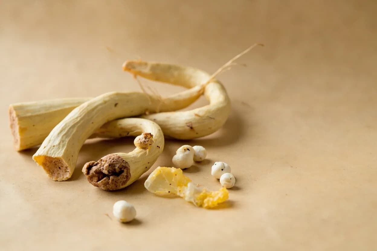 Coriander Root paired with galangal (Thai) — the canonical affinity made visible. Together they anchor Thai green, red, and massaman curry pastes — galangal's sharp ginger heat and coriander root's citrus earth are inseparable partners.