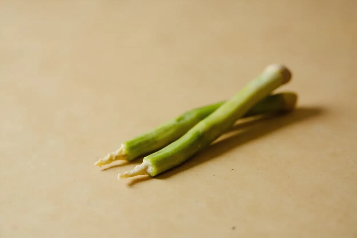 Drumstick (Moringa Pod) in its natural form. Drumstick pods are the immature seed pods of Moringa oleifera, a fast-growing tropical tree native to the Indian subcontinent. Tasting profile: earthy bitterness (isothiocyanates from moringa), green, grassy vegetal note, mild asparagus-like sweetness underneath, slight astringency on the finish.