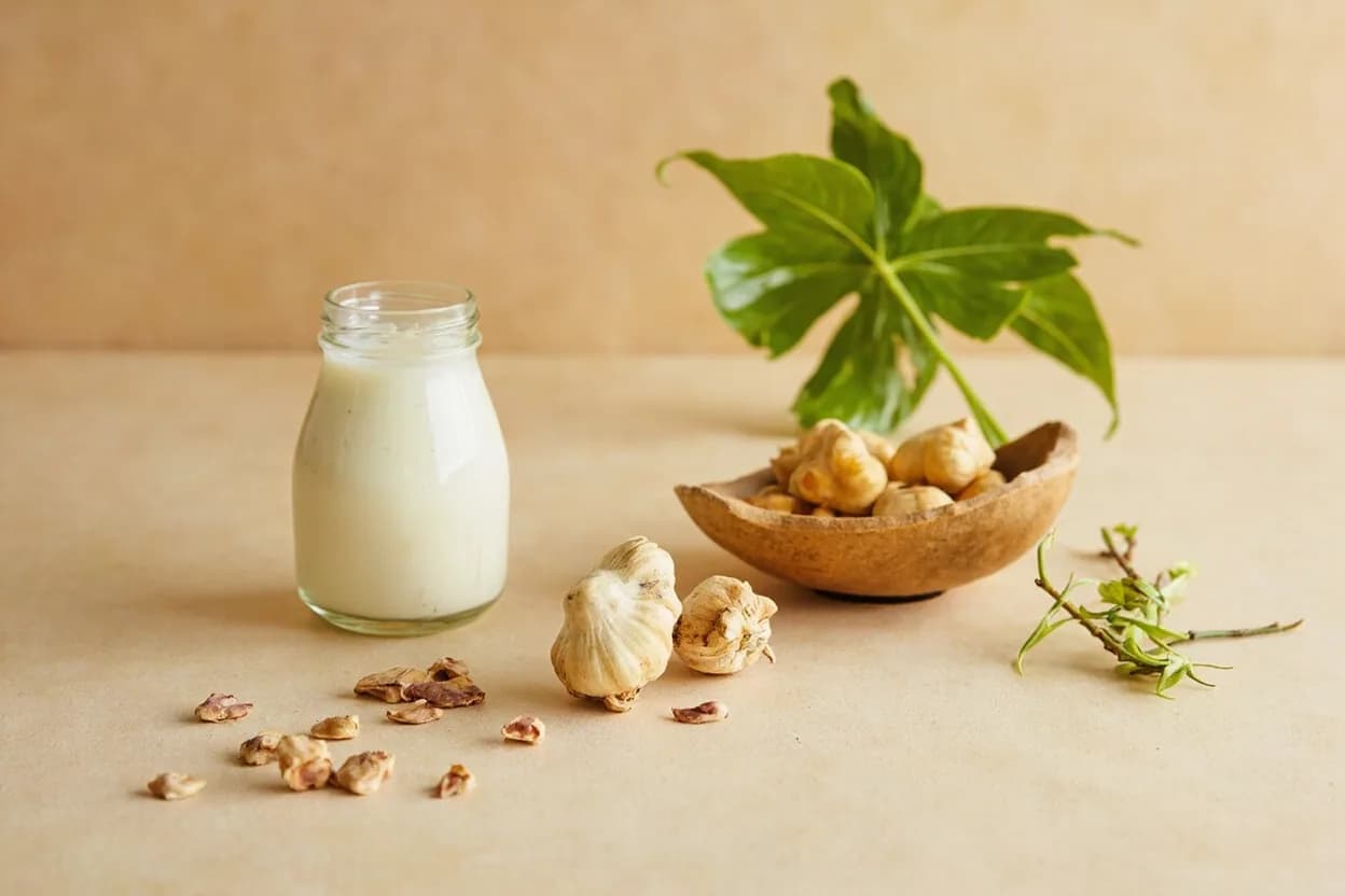 Galangal paired with Coconut milk (Thai) — the canonical affinity made visible. The richness of coconut milk balances galangal's medicinal sharpness, allowing its piney aroma to bloom without overpowering.