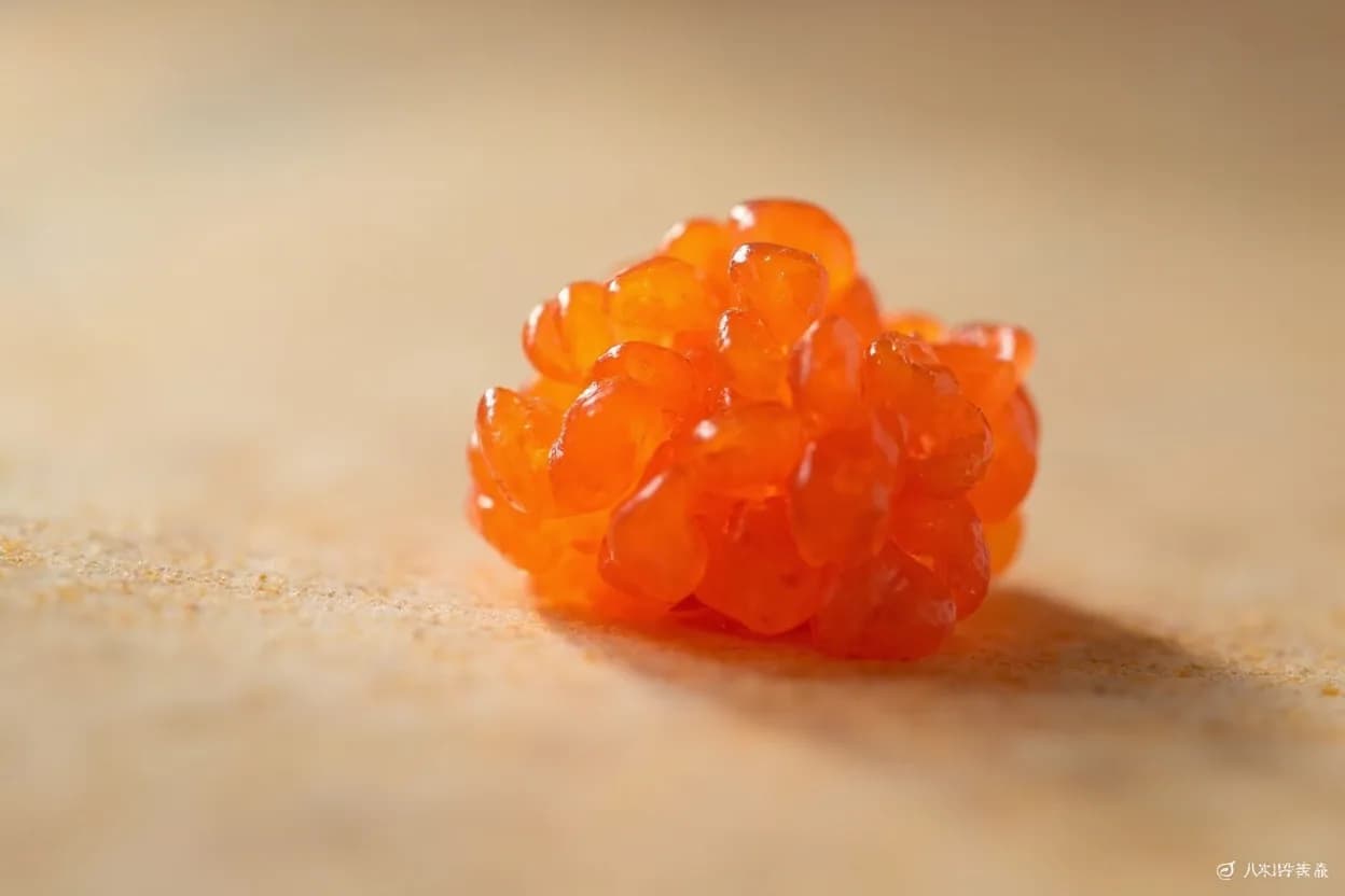 Ikura (Salmon Roe) in its natural form. Ikura are the individually separated eggs of Pacific salmon (primarily chum, sockeye, or king), cured in salt and often soy sauce and mirin in the Japanese tradition. Tasting profile: briny, oceanic, fatty-rich, mildly sweet (soy-cured).