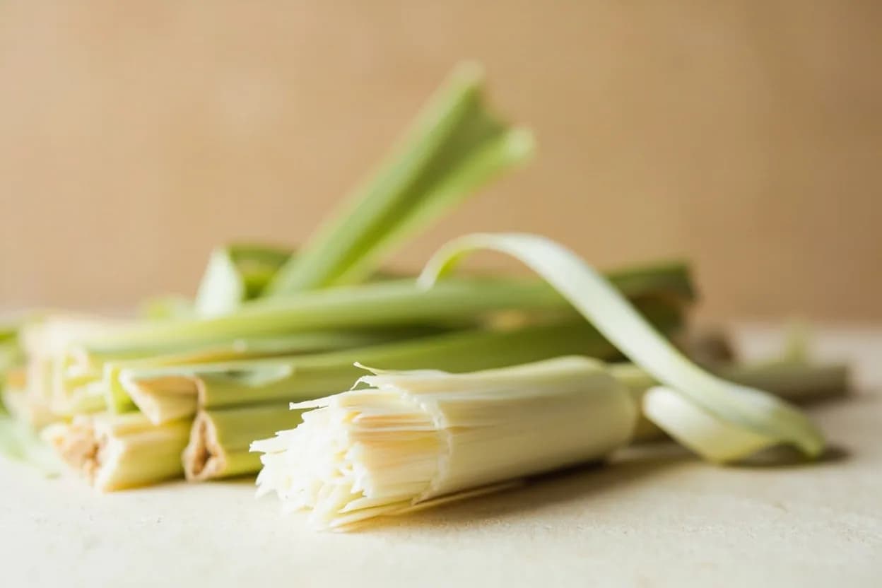 Lemongrass paired with Coconut milk (Thai) — the canonical affinity made visible. The fat in coconut milk carries lemongrass's citral compounds perfectly, rounding the sharpness into something creamy and floral.