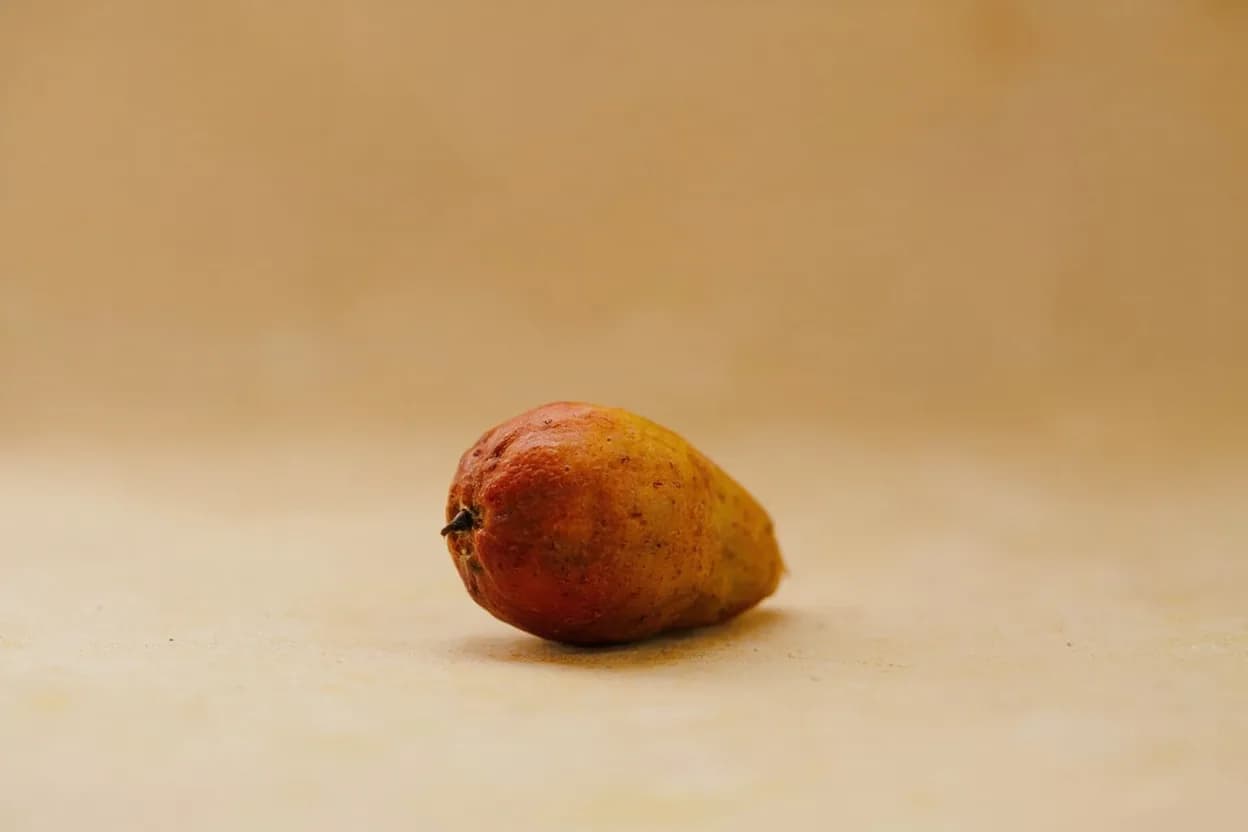Prekese (Aidan Fruit) in its natural form. Prekese (the Ghanaian Twi name) is the dried pod of Tetrapleura tetraptera, a tree native to the rainforests of West Africa. Tasting profile: sweet, vanilla-adjacent aroma when fresh, caramelised tropical fruit note, mild fermented depth, light astringency.