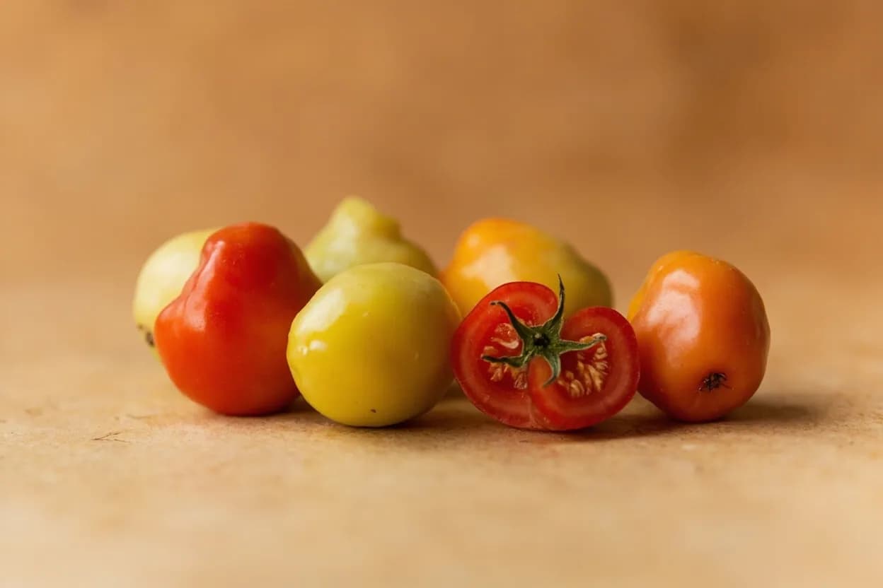 Rocoto in its natural form. Rocoto (Capsicum pubescens) is a domesticated chile native to the Andean highlands of Peru, Bolivia, and Ecuador, cultivated at elevations above 2,000 meters where no other Capsicum species thrives. Tasting profile: fruity apple-flesh sweetness, fresh green bell pepper character, ripe tomato and mild vegetal depth, bright, immediate chile heat (capsaicin, dihydrocapsaicin).