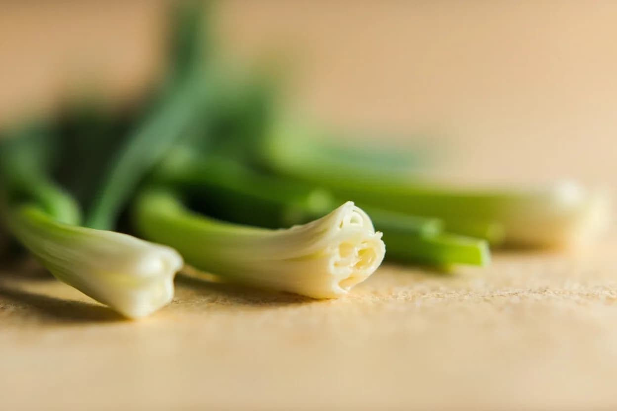 Scallion (Green Onion) in its natural form. Scallions (Allium fistulosum) are immature or non-bulbing onion plants harvested before a bulb forms, yielding a slender white base shading into crisp, hollow green tops. Tasting profile: fresh grassy allium, mild pungency, faint onion sweetness, vegetal green bite.