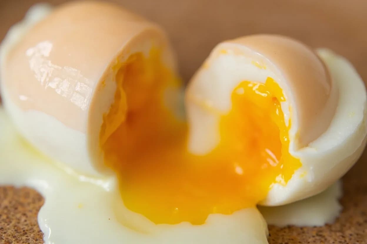 Egg: Soft-Poached vs. Hard-Poached